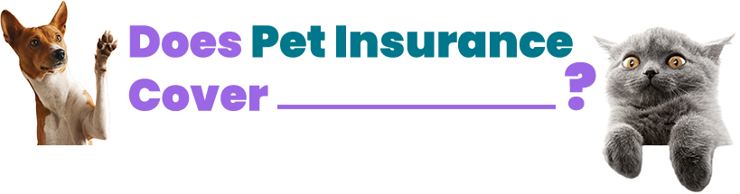 Does Pet Insurance Cover?